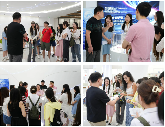 202507234780a6934a18d78ba7412891fd05bcac.png 202507234780a6934a18d78ba7412891fd05bcac.png